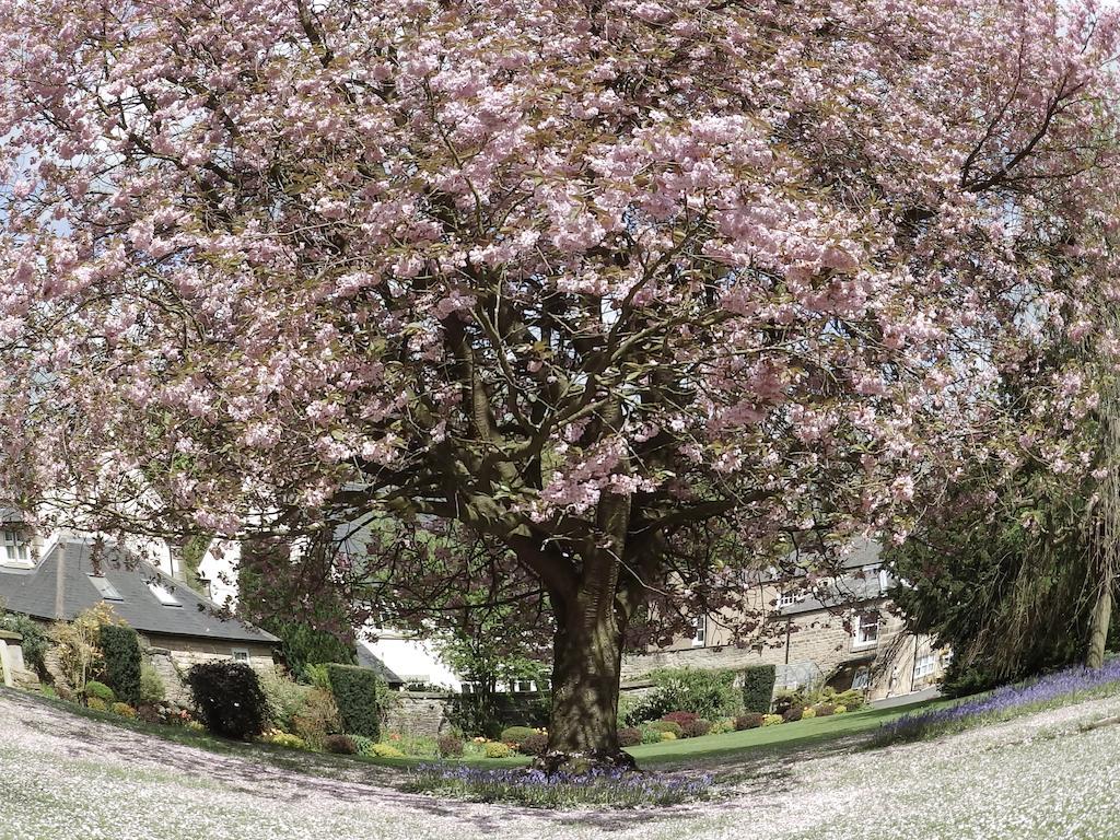 Hedgefield House Hotell Ryton  Eksteriør bilde